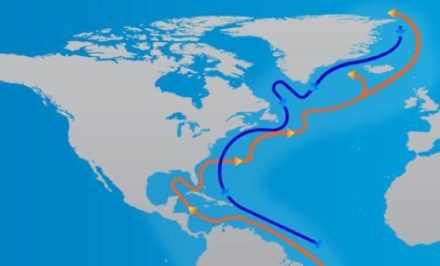Теплые течения лабрадорское. Гольфстрим и Северо-атлантическое течение. Океаническое течение Гольфстрим. Гольфстрим течения Атлантического океана. Что такое Гольфстрим в географии.