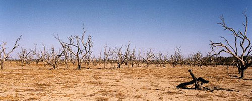 Australia Drought