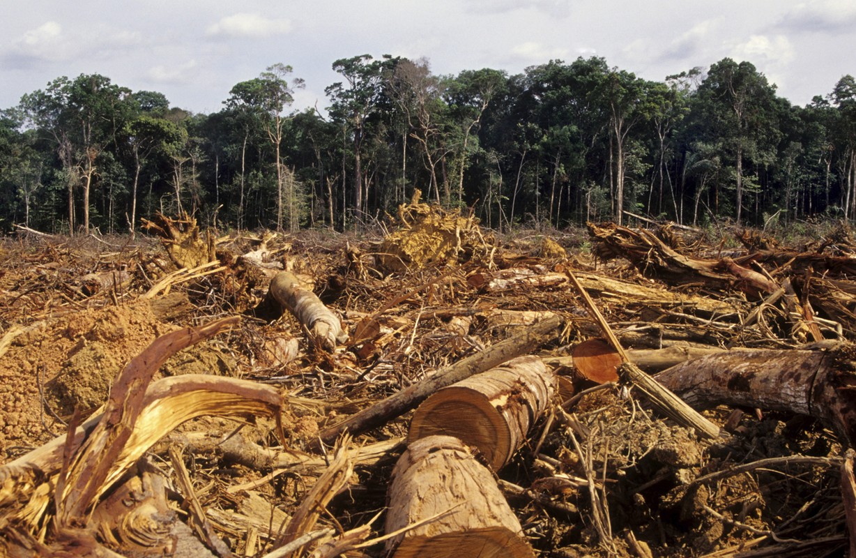 Deforestation-Amazon