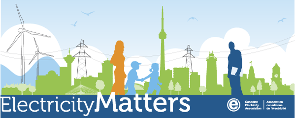 ElectricityMattersHeader2014