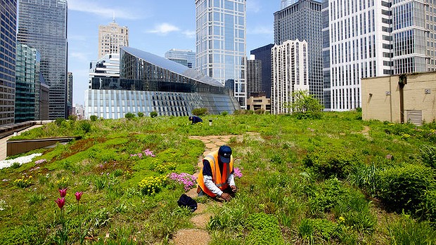 This rooftop garden in Paris could be the future of food production