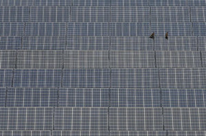 solar power