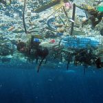 GLOBE-Net Dell Ships First Recycled Ocean Plastics Packaging - GLOBE-Net