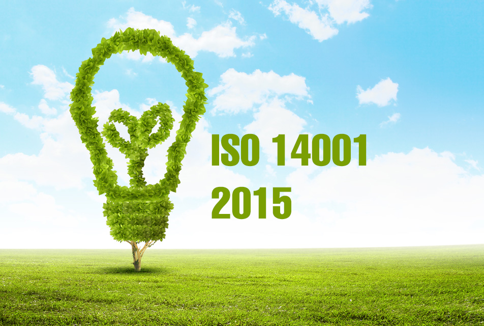 iso 14001 standard pdf